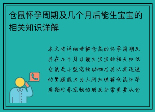 仓鼠怀孕周期及几个月后能生宝宝的相关知识详解
